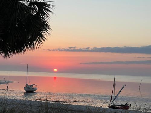 Cedar Key Apartment | Cedar Key Turtle 132