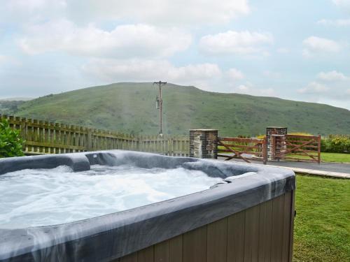 Glandyfi House | Eithinog