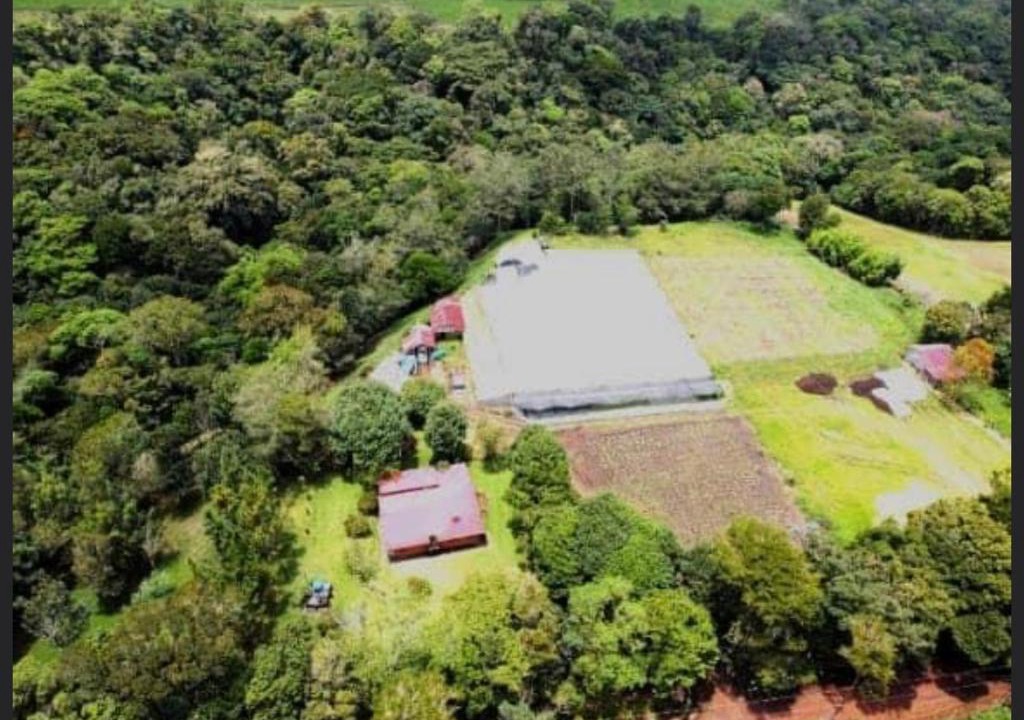 San Isidro House | Finca Arabela