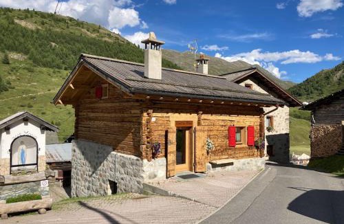 Trepalle Ski Chalet | Baita Rini