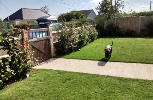 Great Yarmouth House | Dawn