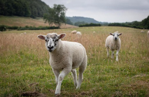 Pickering House | Experience the Peace & Quiet in the North York Moors at Rawcliffe House Farm