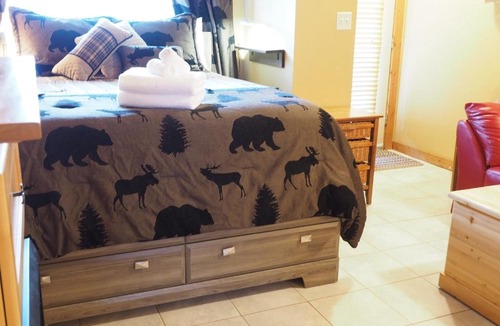 Apex Mountain Apartment | Ground Floor Cub Manor Studio Condo
