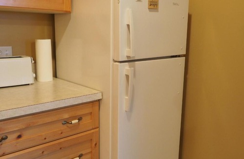 Apex Mountain Apartment | Ground Floor Cub Manor Studio Condo