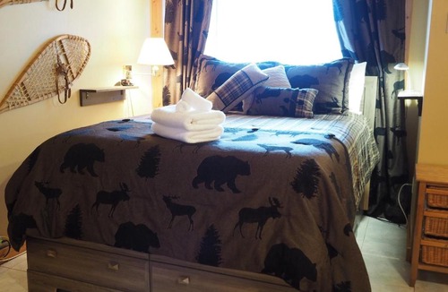Apex Mountain Apartment | Ground Floor Cub Manor Studio Condo