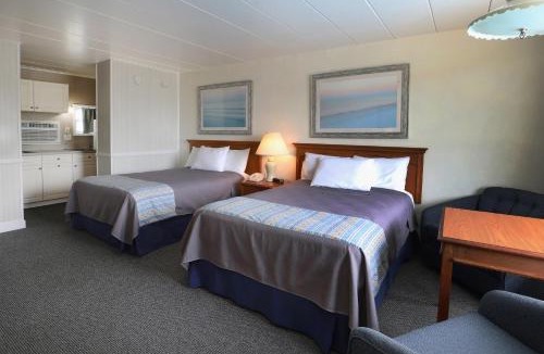 Stone Harbor Hotel | Lark Motel