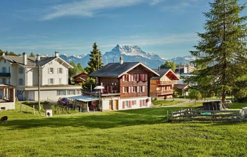Leysin Ski Chalet | Le Liseron