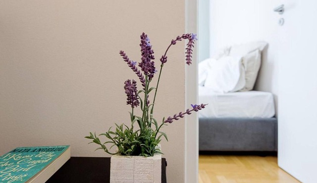 Beautiful studio in the heart of the city
