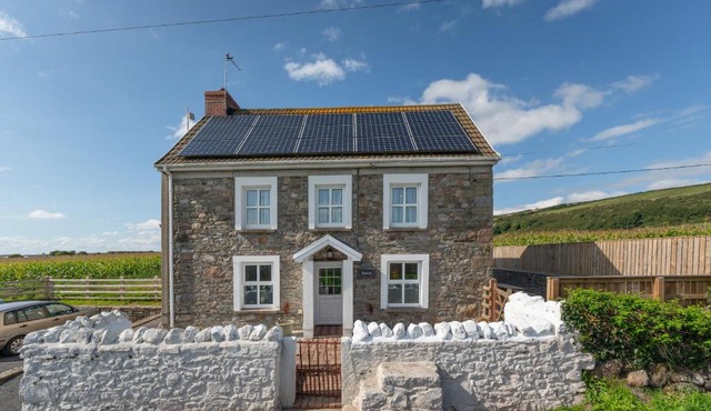 Bryntowy
