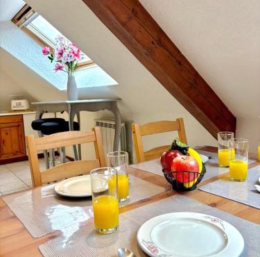 Chaleureux studio sous les toits, proche du lac