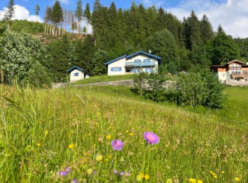 Charming chalet with sauna + views!