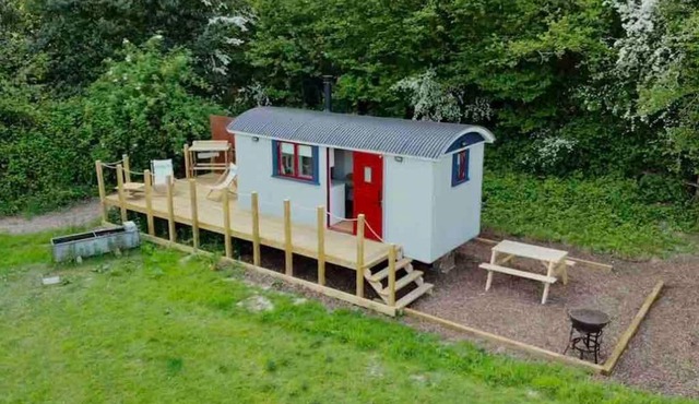Cleo’s Hut