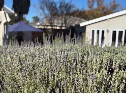 Ndaba Golf Lodge & Hello Beautiful Day Spa