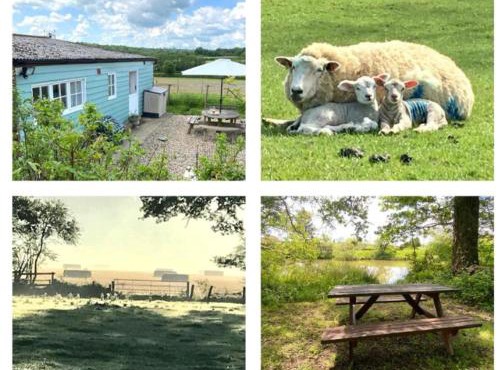 Park Farm Chalet