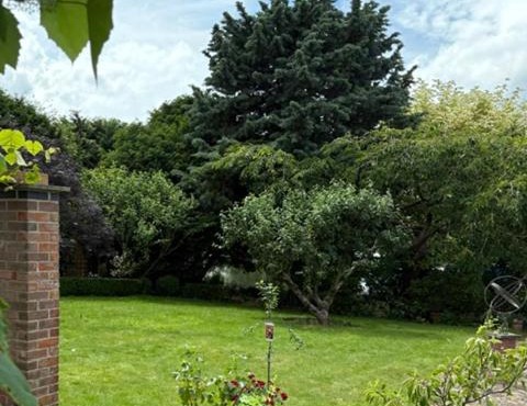 River Garden View
