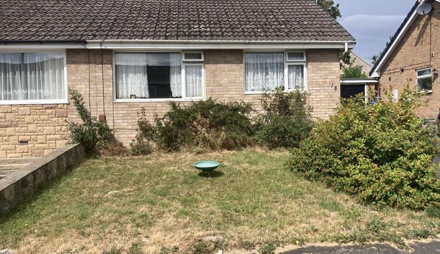 The Bungalow