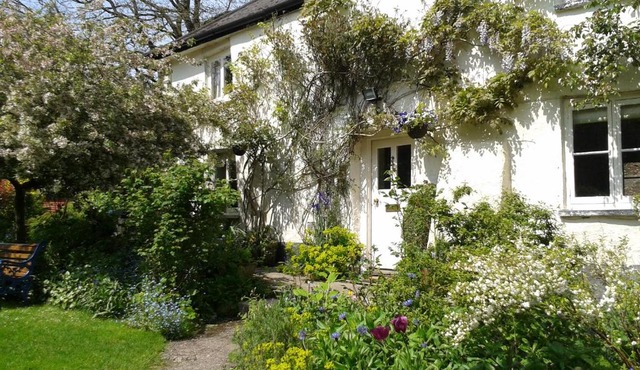Tracebridge Cottage B&B
