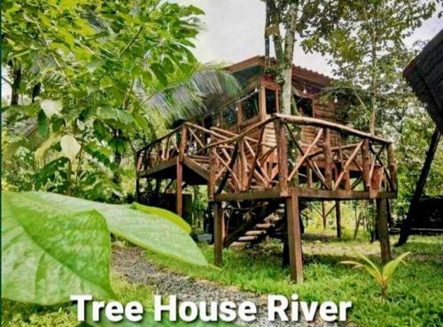 Tree House River