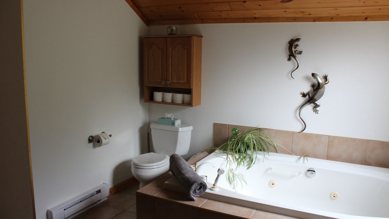 Photo of Bathroom in Apex Mountain