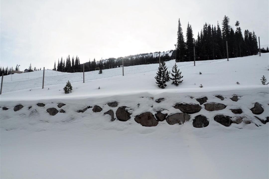 Photo of Others in Apex Mountain